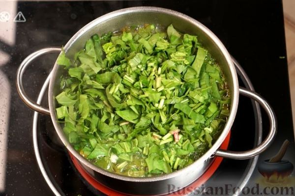 Зеленый борщ со щавелем, рисом и яйцом — классический способ приготовления